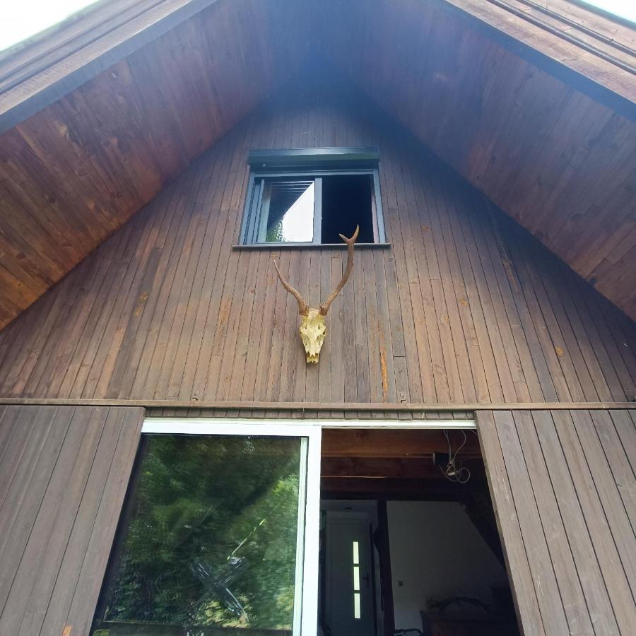 Chalet- Vallee De Luchon - Vallee De La Pique Cierp Eksteriør bilde