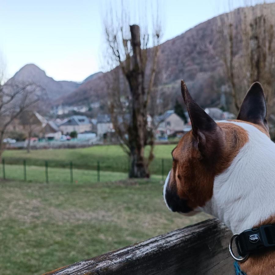 Chalet- Vallee De Luchon - Vallee De La Pique Cierp Eksteriør bilde