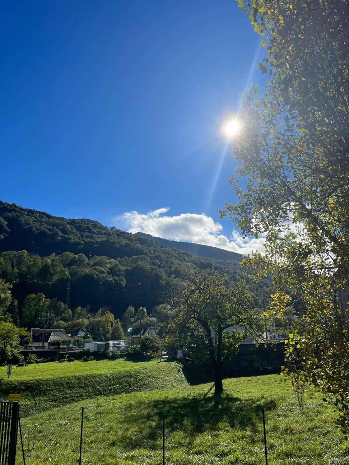 Chalet- Vallee De Luchon - Vallee De La Pique Cierp Eksteriør bilde